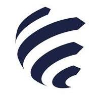 Stefanini Logo